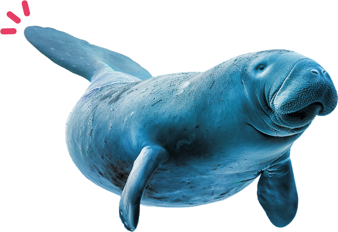 https://thenationalaquarium.ae/sites/default/files/revslider/image/Fish.png