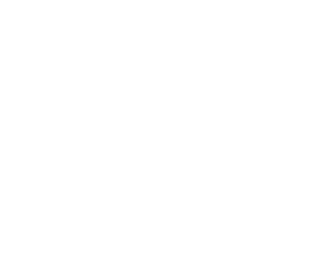 https://thenationalaquarium.ae/sites/default/files/revslider/image/Insect-Empire-Home-Banner-6.png