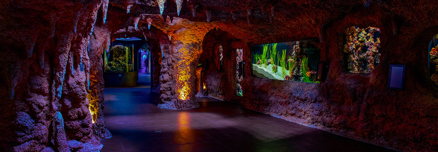 Atlantic Cave