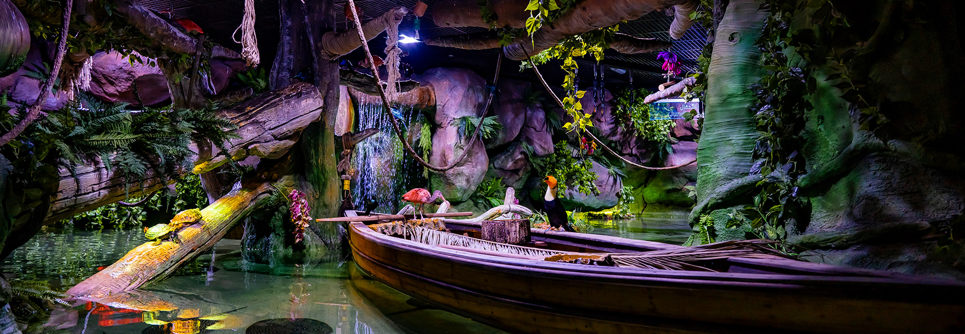 The Flooded Forest