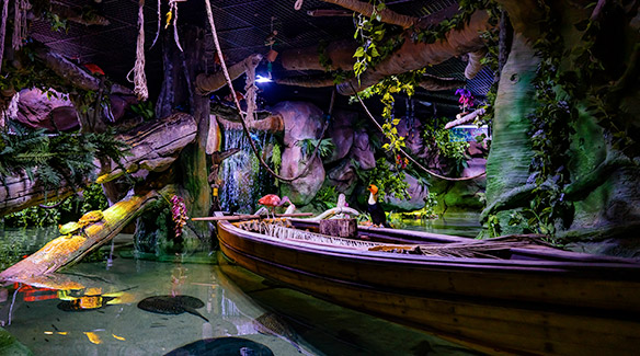 The Flooded Forest