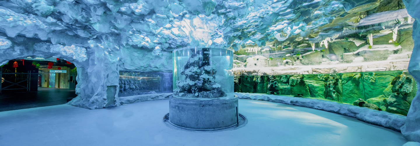 Frozen Ocean
