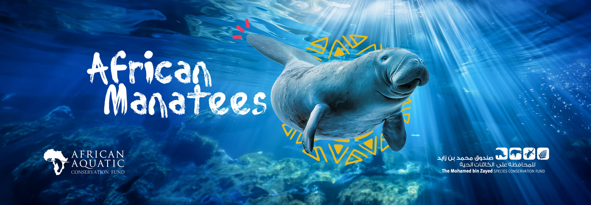 African Manatee