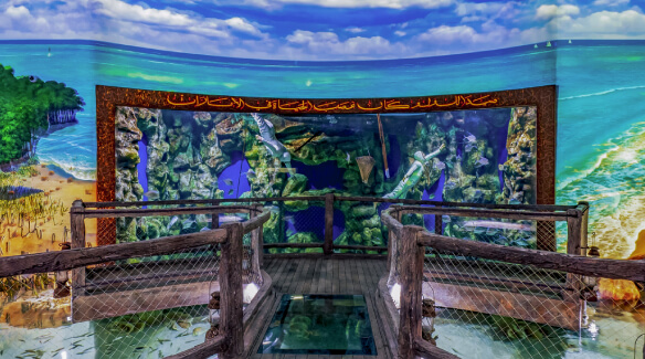 UAE’s Natural Treasures